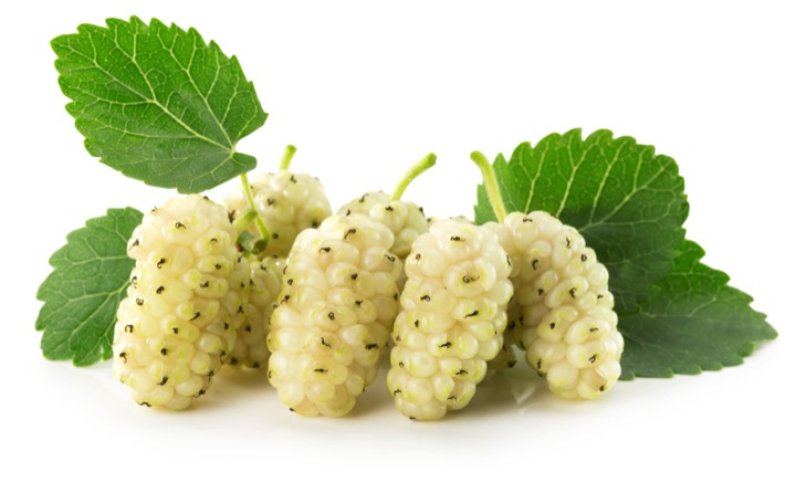 Why is White Mulberry the next superfood?