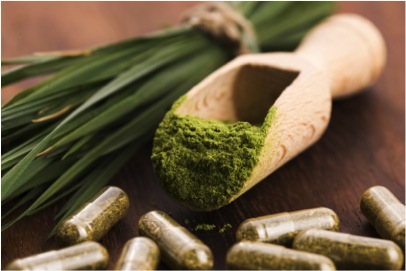 Spirulina – a modern day superfood!