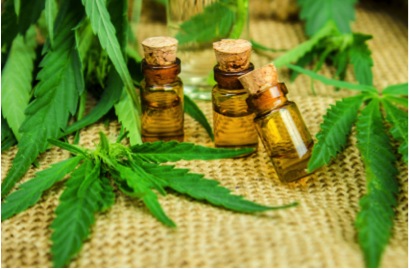 Cannabis Oil – and why it is good for you?